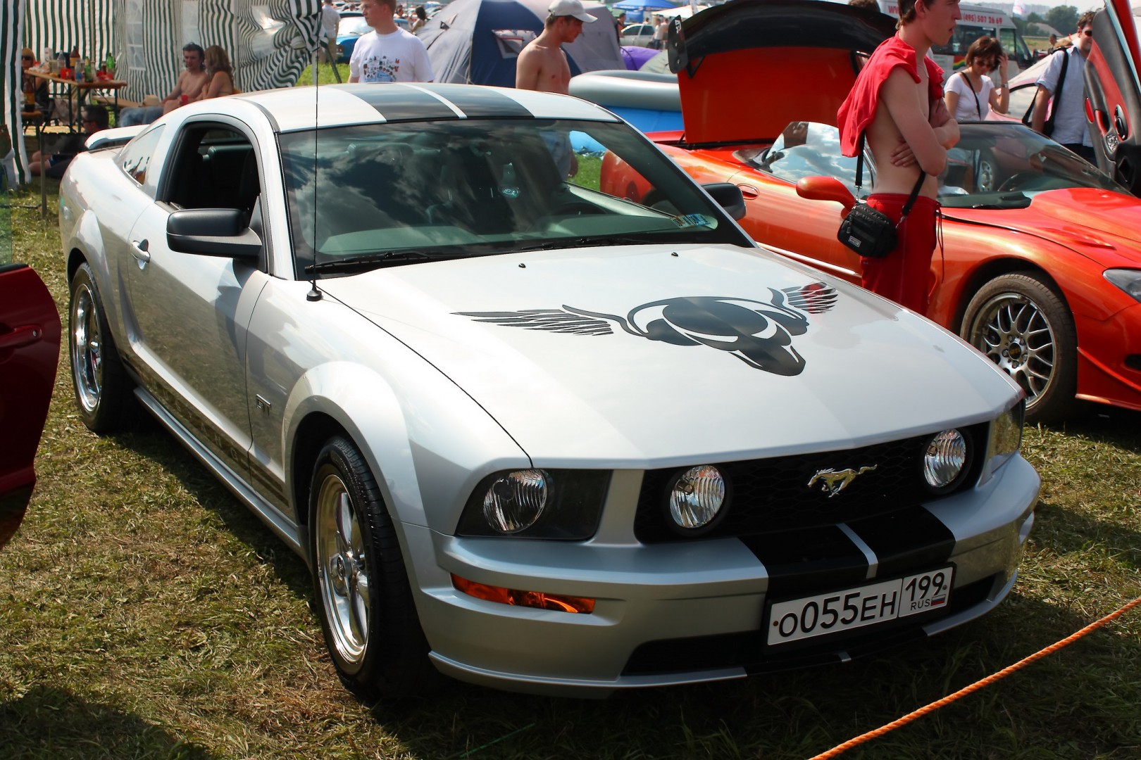 ������� ������� - ������������ 2008