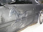 ������ �������� - Mustang