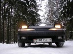 ������ �������� - Mustang